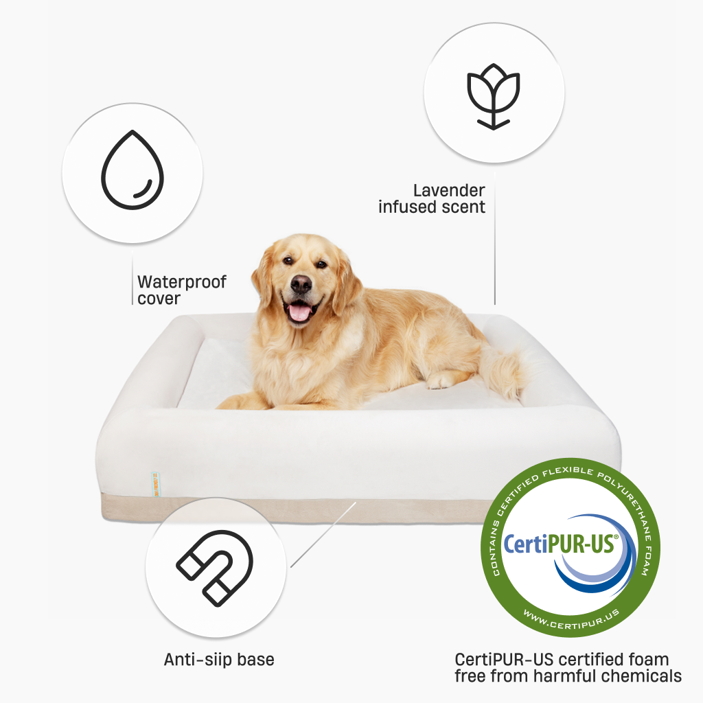Premium Orthopedic Memory Foam Dog Bed - Champagne (Small)