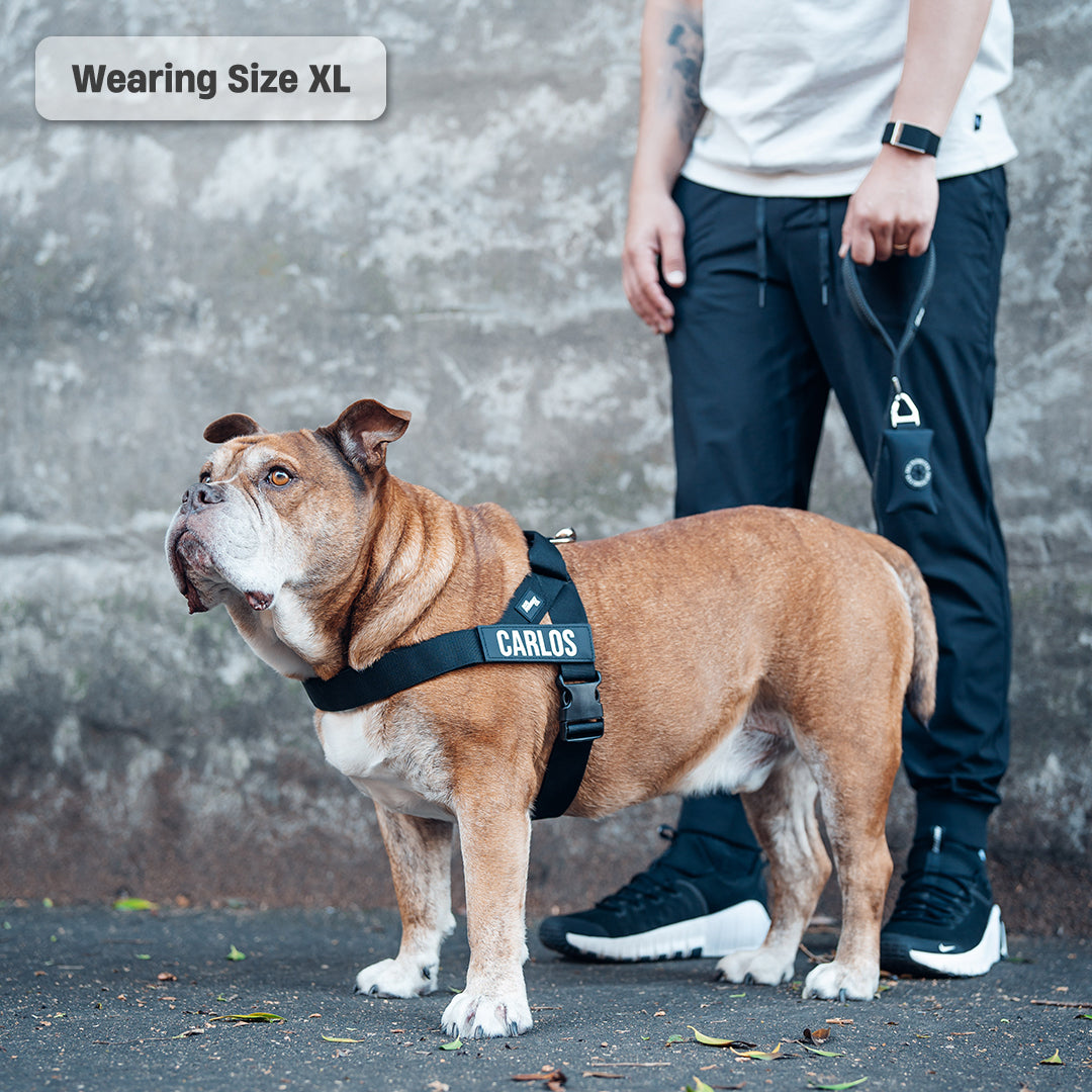 Walk Essentials - Black