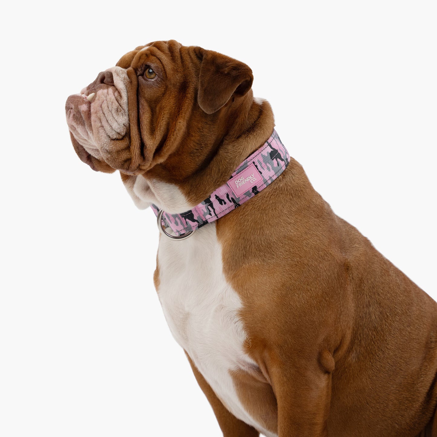 Dog Lovers Pack - Pink Camo