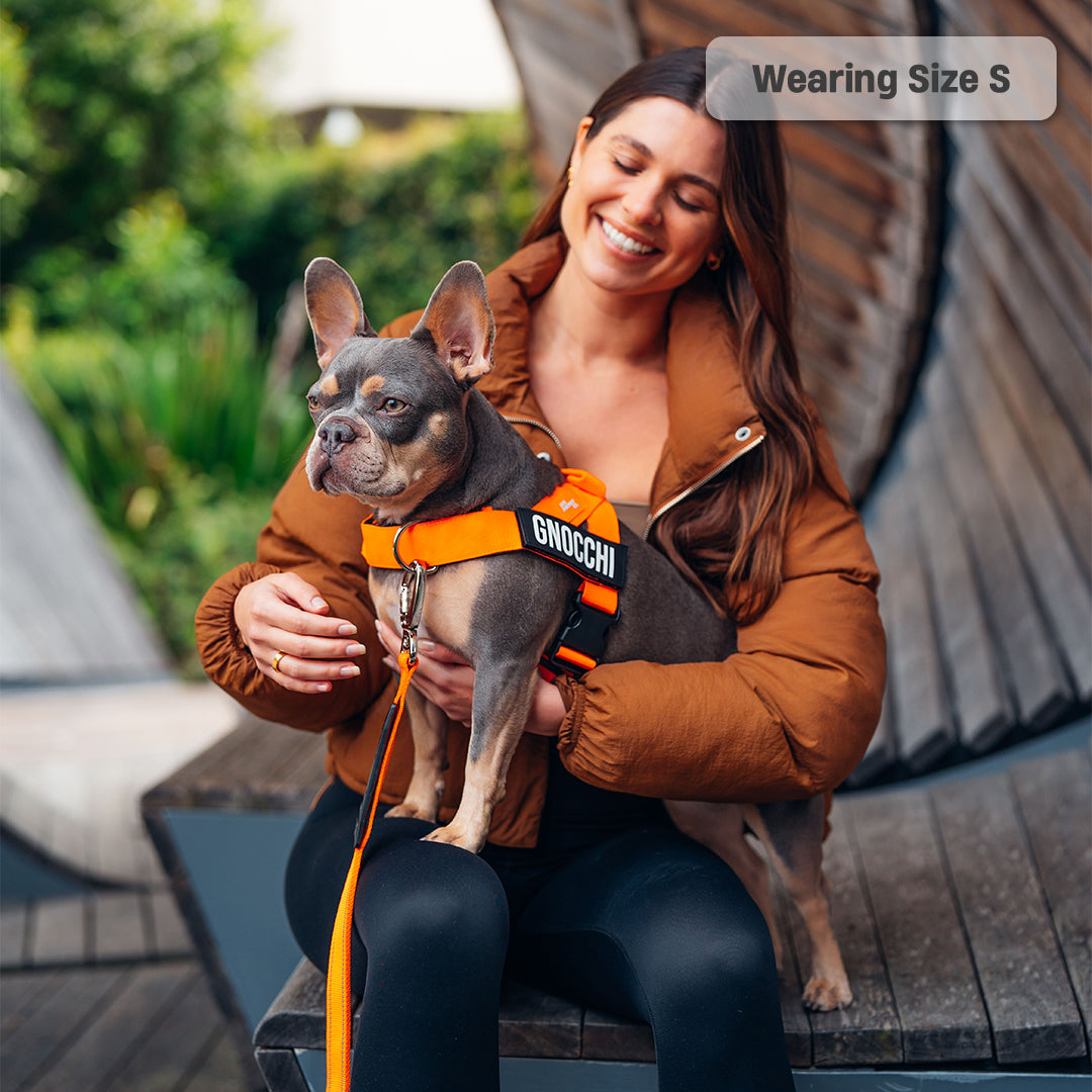 Signature Kit - Orange