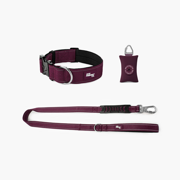 Collar Walk Set - Burgundy