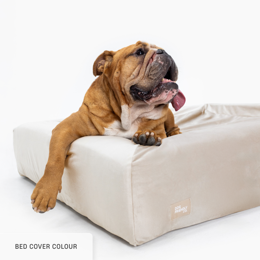 Sleep Set - Beige