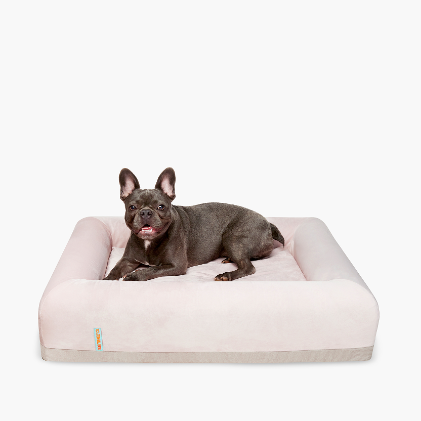 Comfort Pack - Pink
