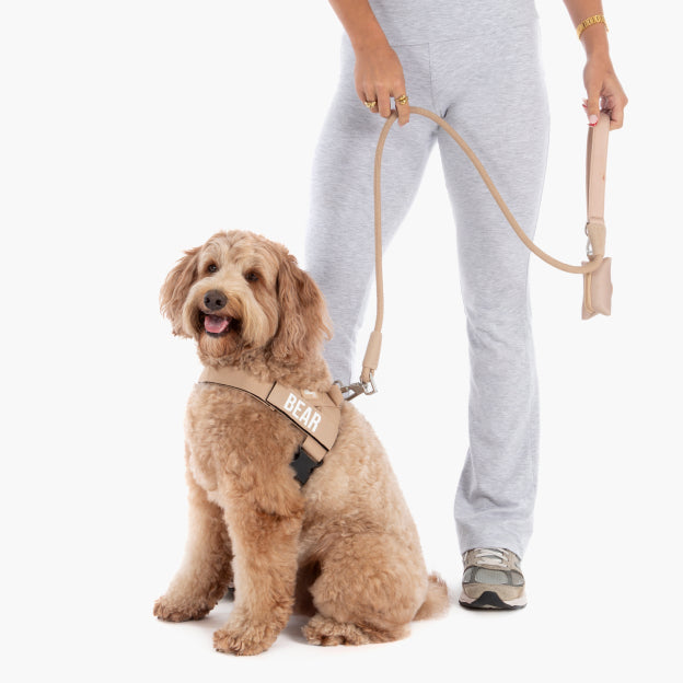 Rope Dog Leash - Brown