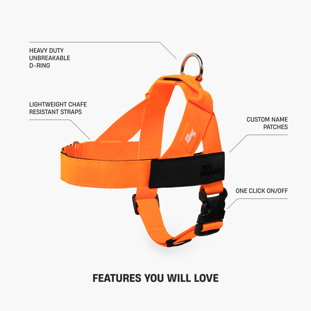 Dog Harness - Orange