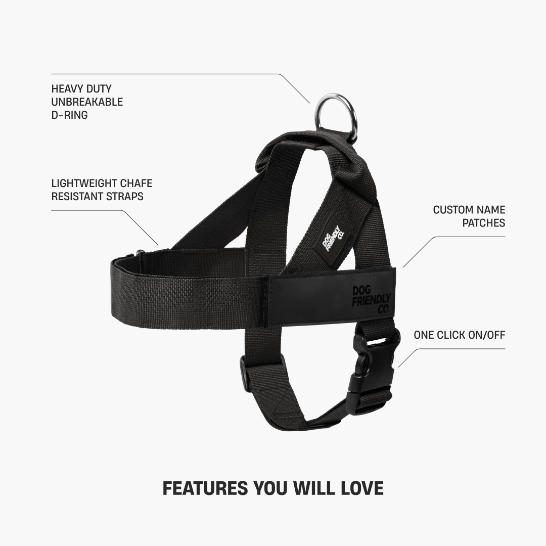 Dog Harness - Black