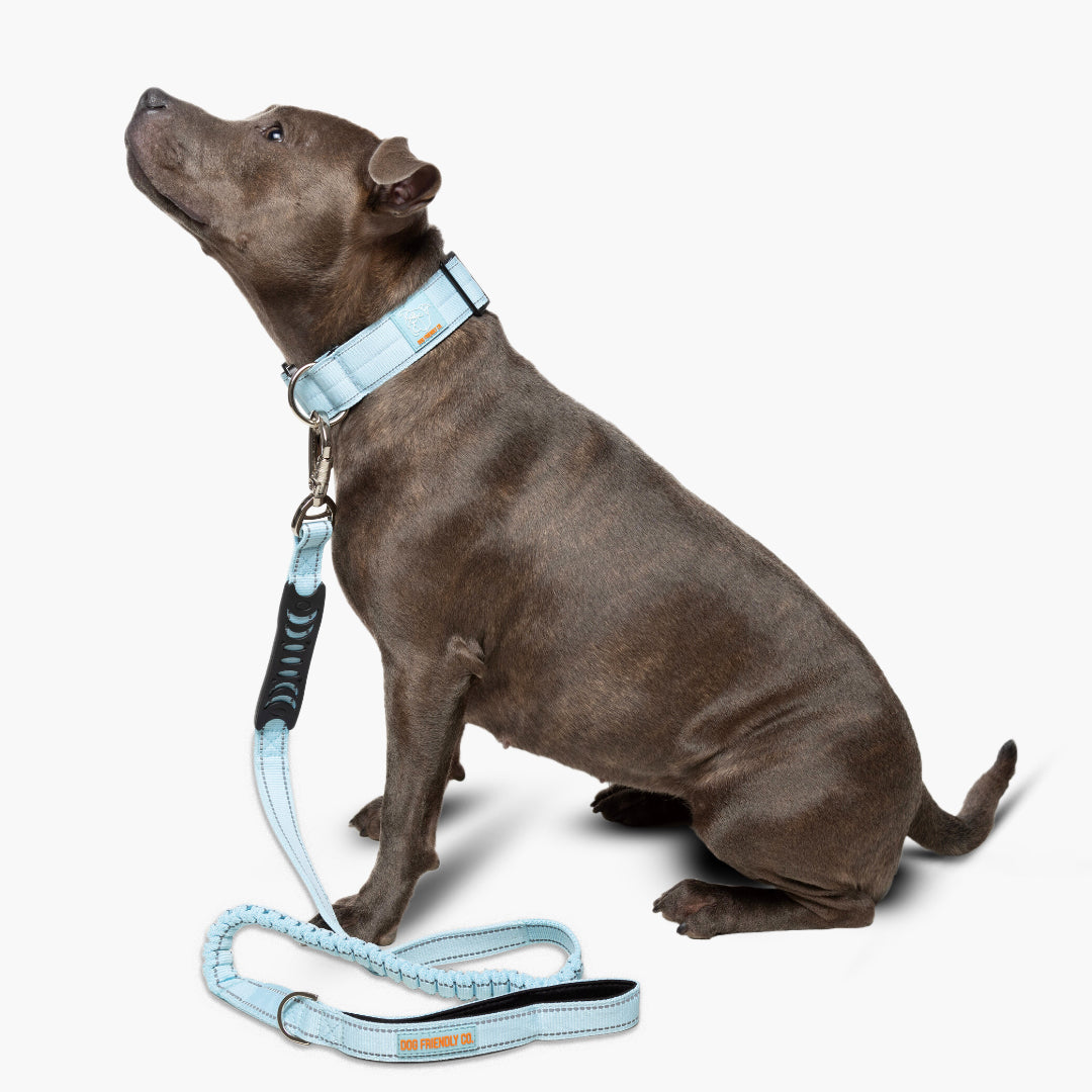 Collar Walk Set - Sky Blue