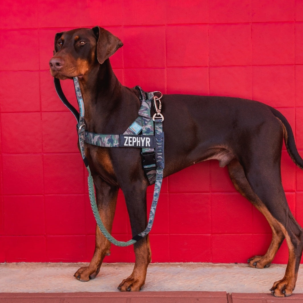 Dog Harness - Green Camo