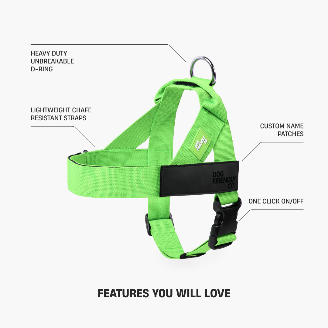 Dog Harness - Neon Green