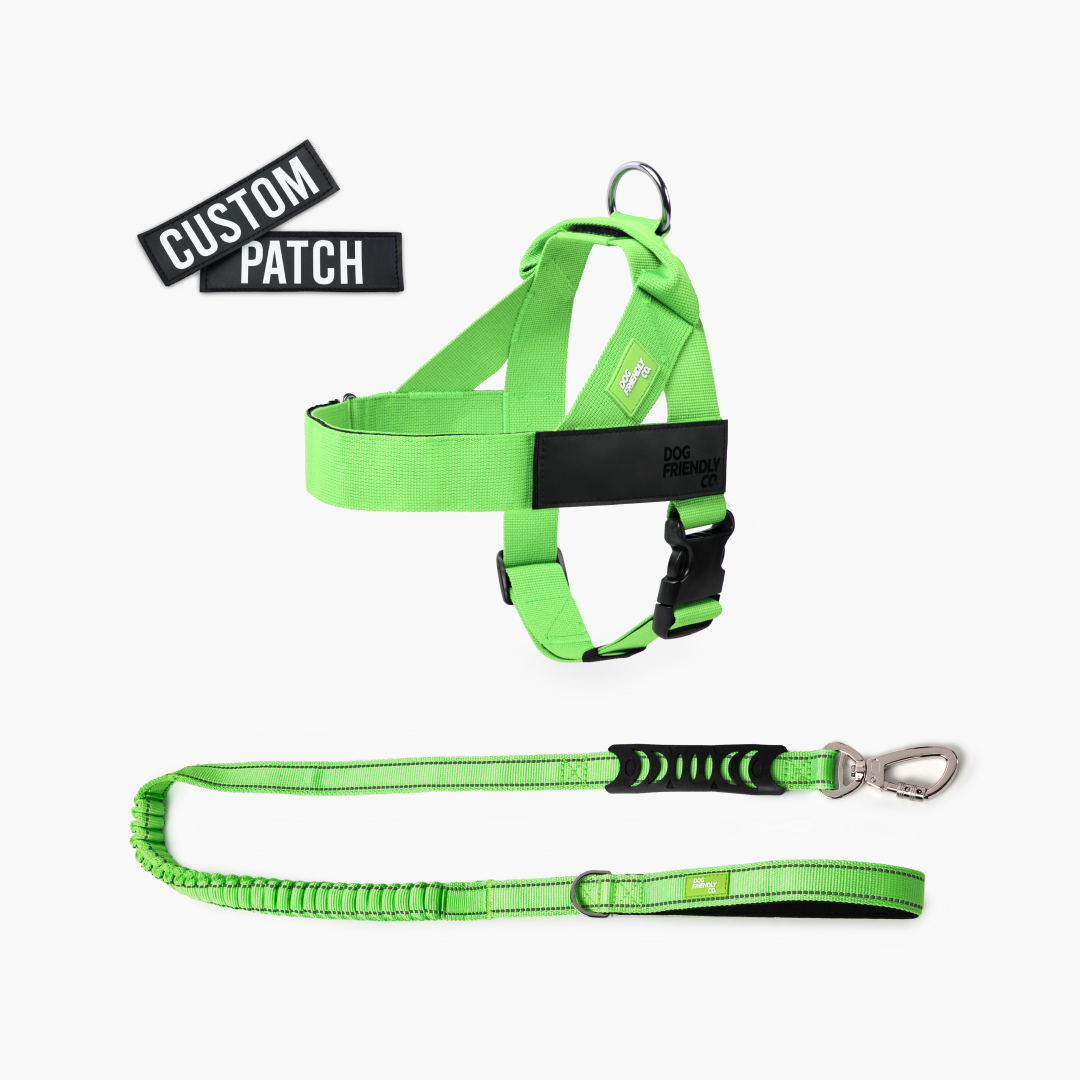 Signature Kit - Neon Green