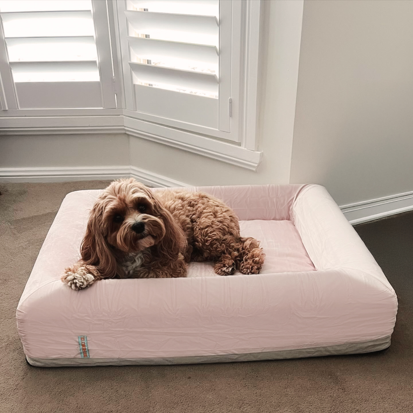 Orthopedic Memory Foam Dog Bed - Pink (Small)