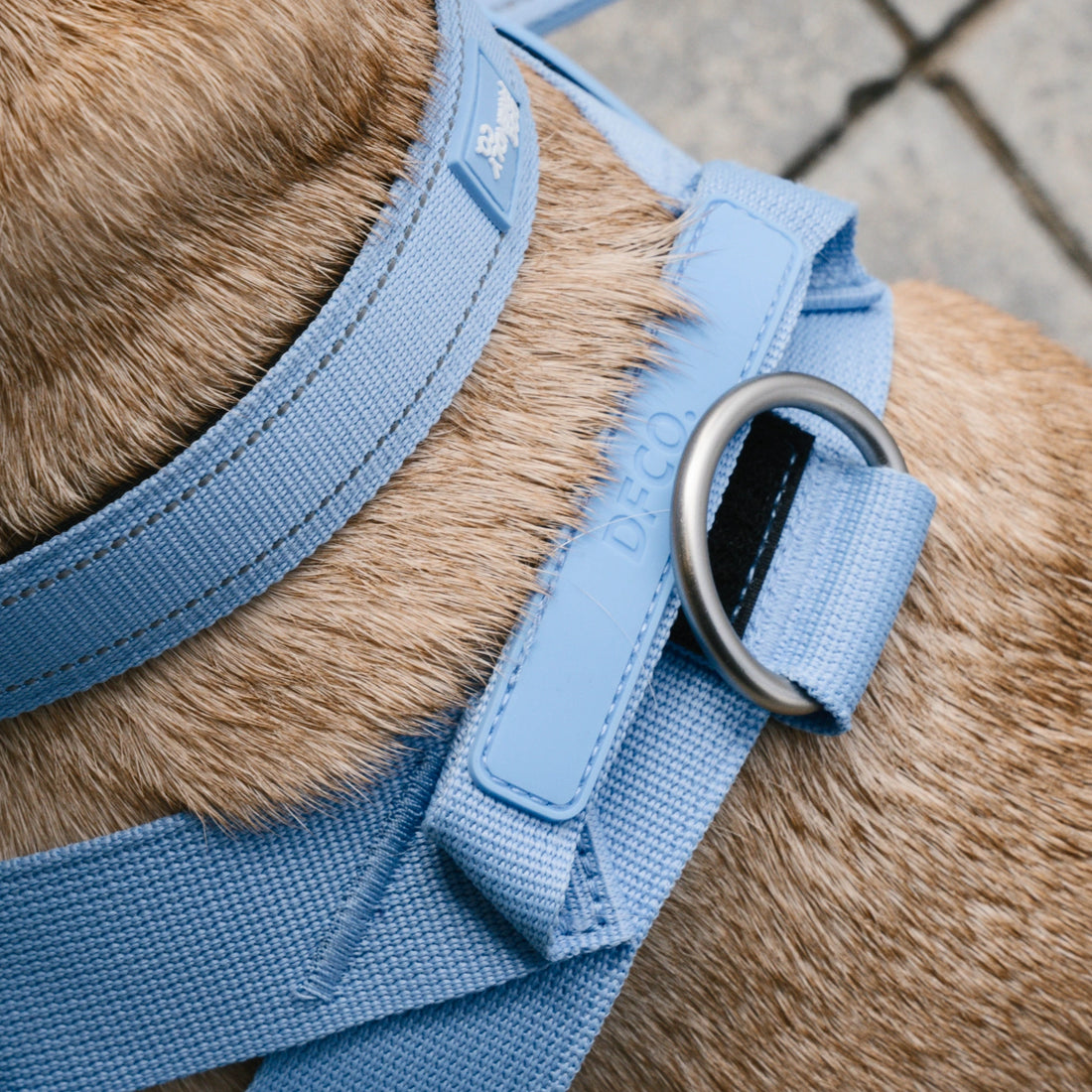 Close-up of the front D-ring on the Air harness