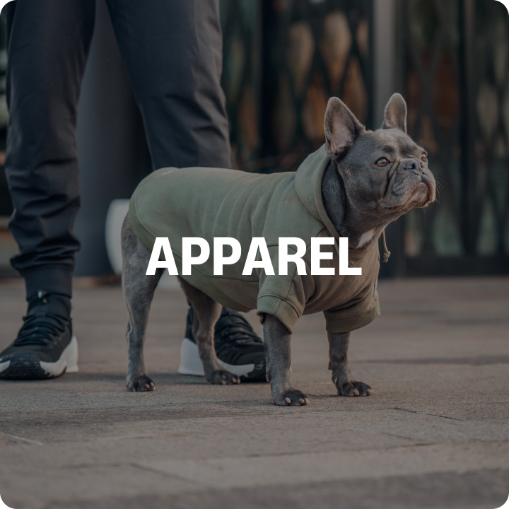 SHOP BY CATEGORY collection