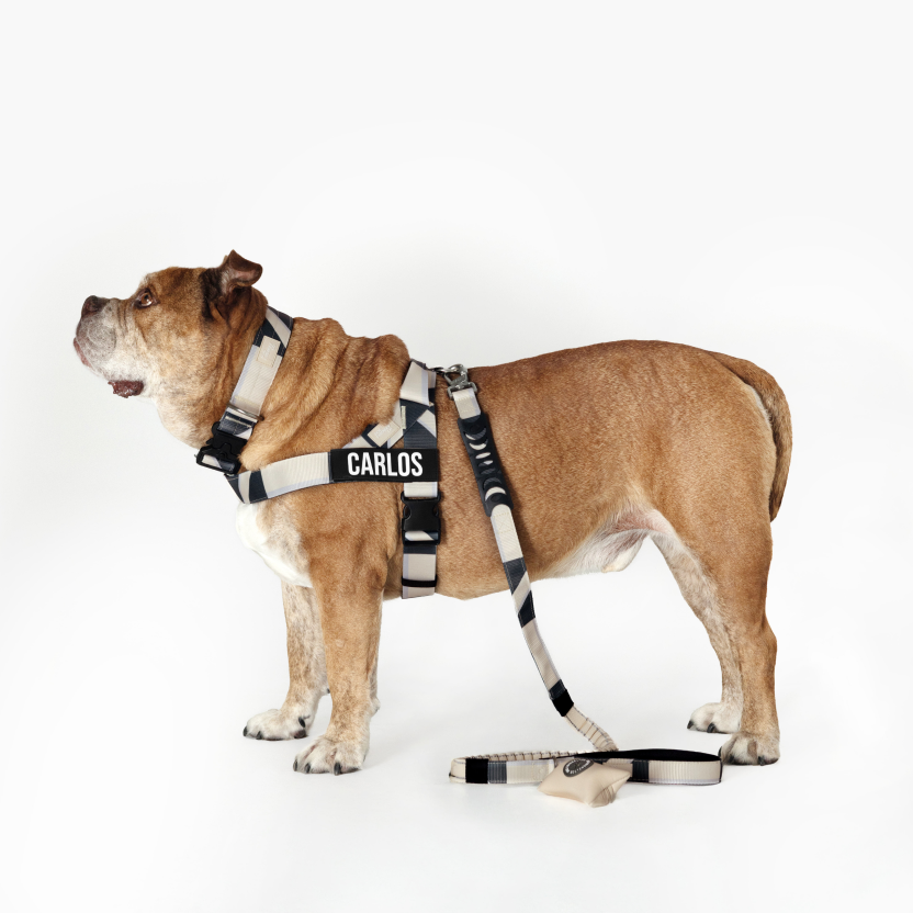 Dog Harness - Limited Edition Beige