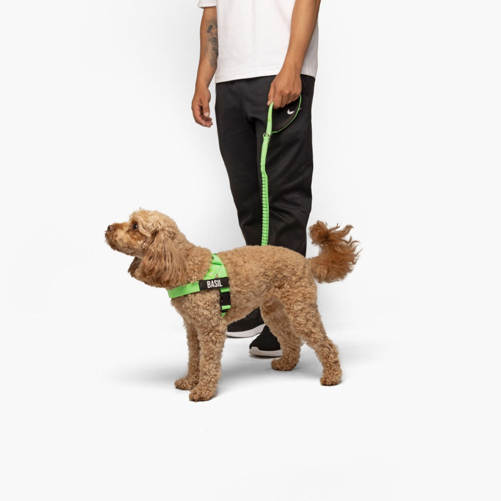 Signature Kit - Neon Green