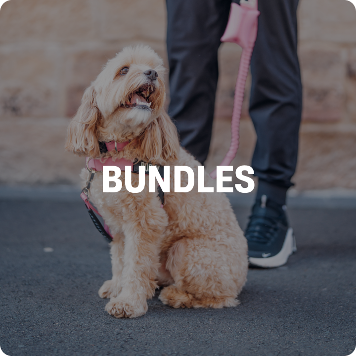 SHOP BY CATEGORY collection