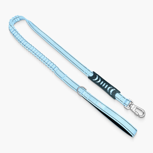 Bungee Dog Leash - Sky Blue