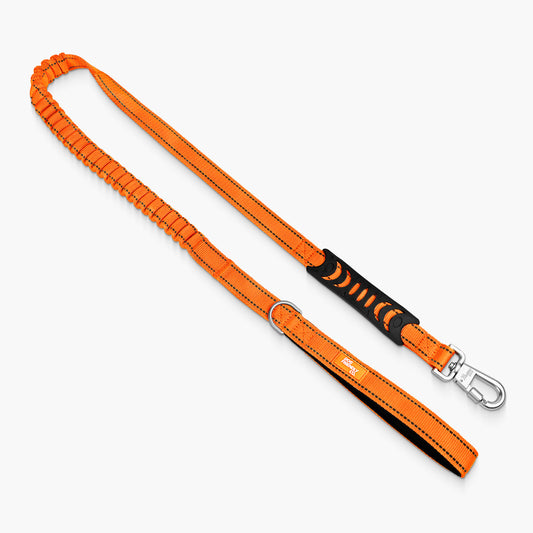 Bungee Dog Leash - Hi-Vis Orange