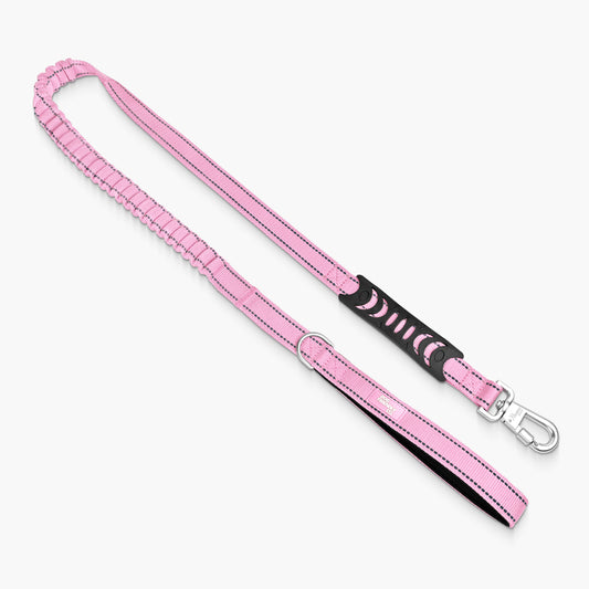 Bungee Dog Leash - Pink