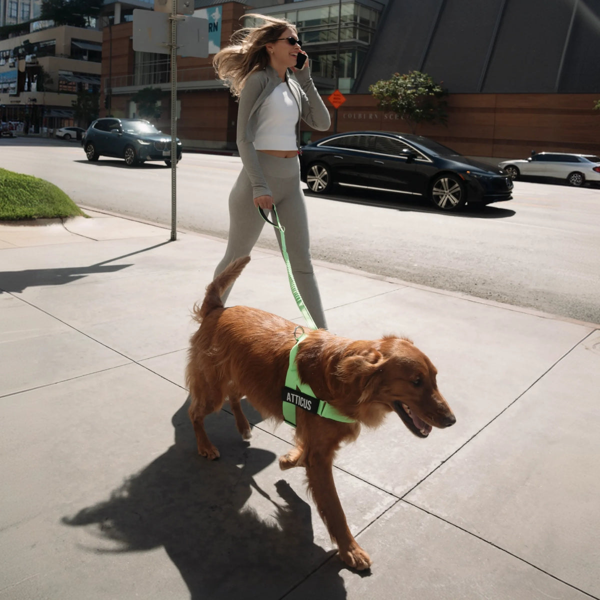 Bungee Dog Leash - Neon Green