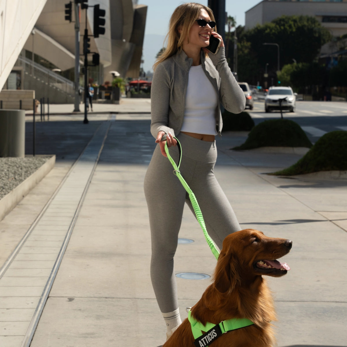 Bungee Dog Leash - Neon Green