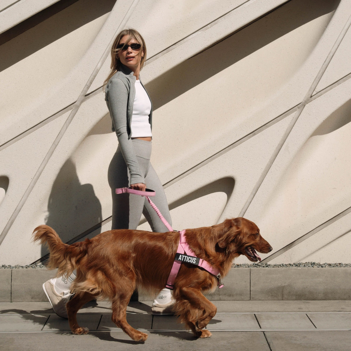 Bungee Dog Leash - Pink