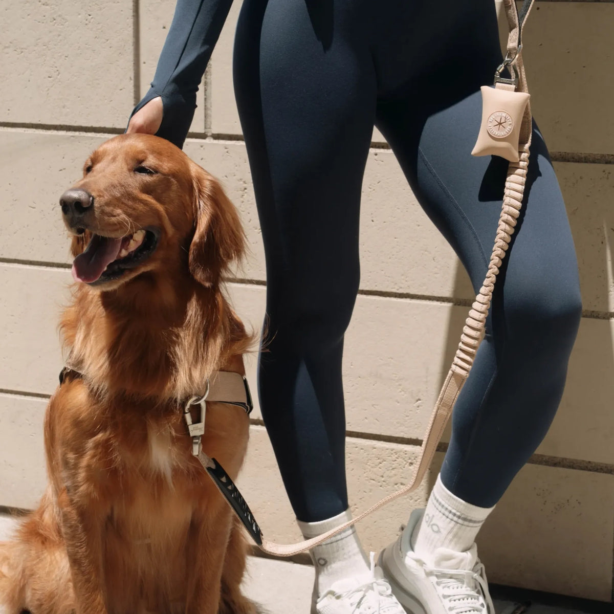 Brown dog wearing a harness beside an owner holding a premium brown bungee dog leash.