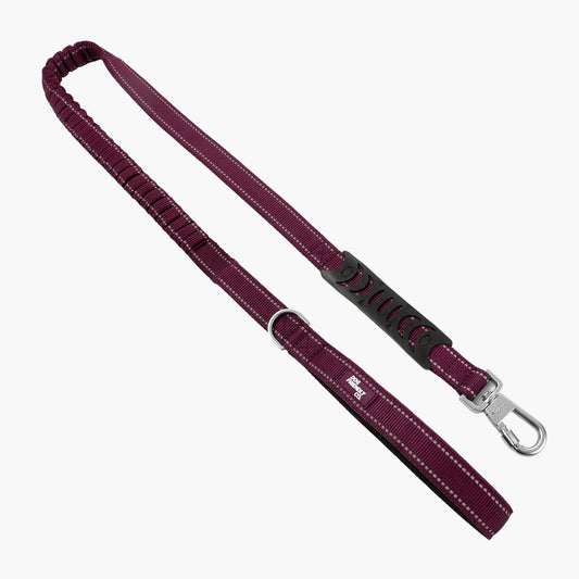 Bungee Dog Leash - Burgundy