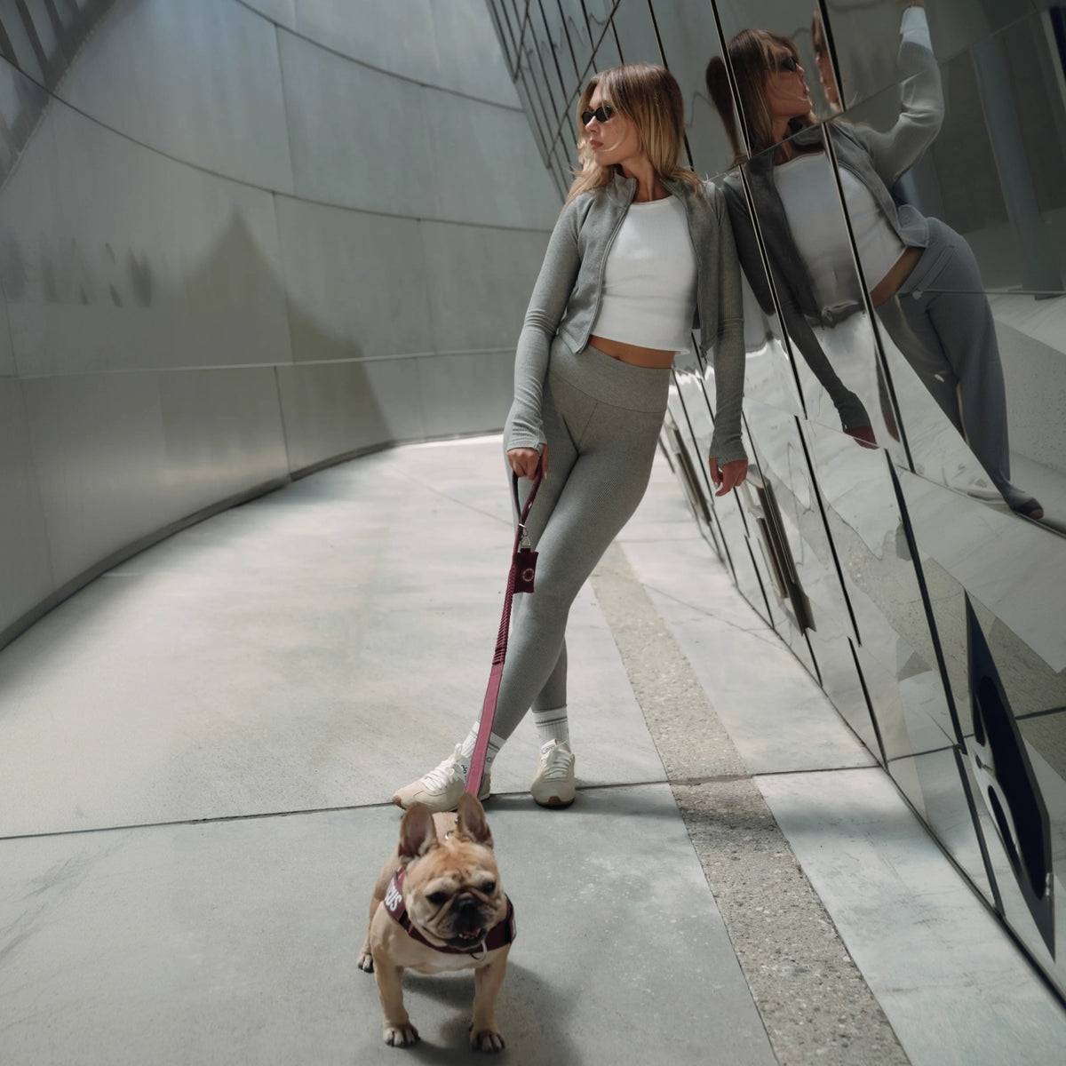 Dog wearing the burgundy kit with the premium burgundy bungee dog leash with padded handle, heavy-duty clip and metal D-ring.