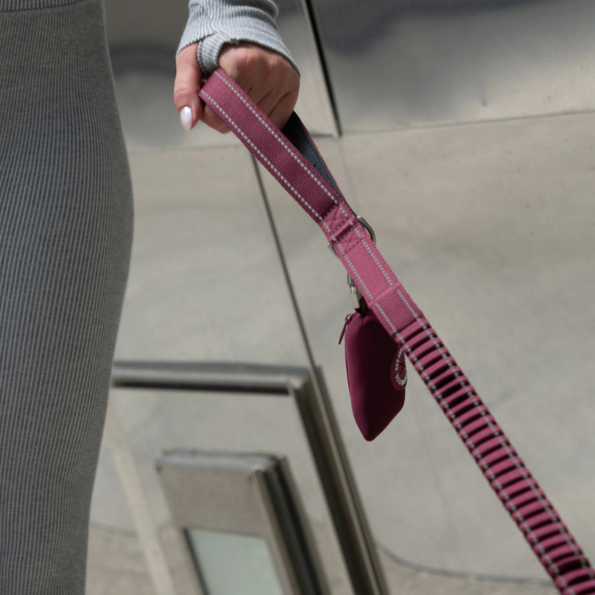 Burgundy bungee dog leash with poop bag holder.