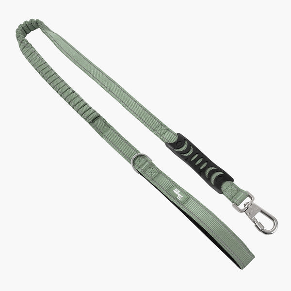 Bungee Dog Leash