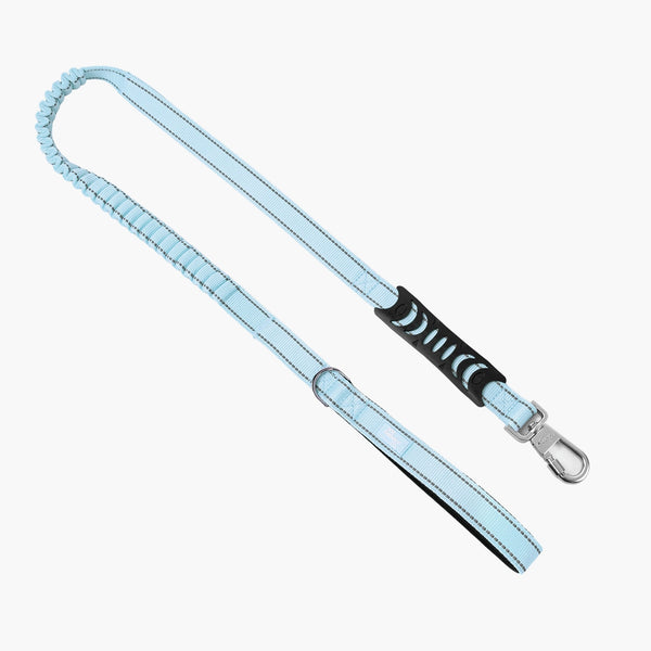 Bungee Dog Leash