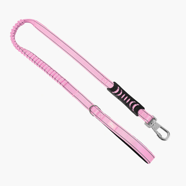 Bungee Dog Leash - Pink