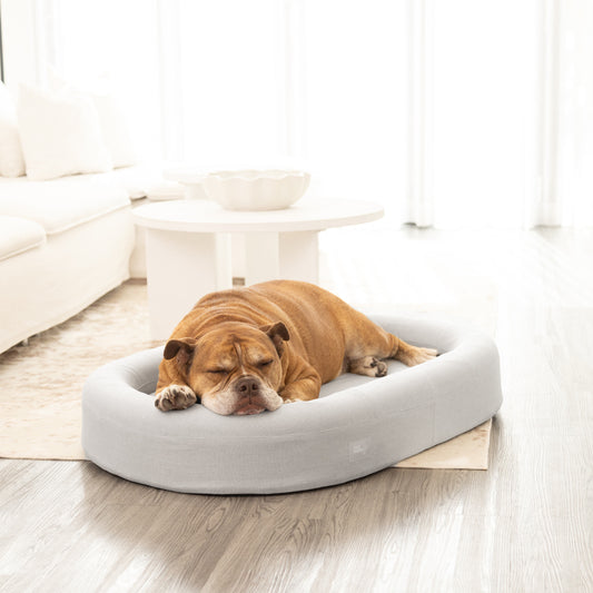 Chill Pill Memory Foam Dog Bed - Grey (Small)