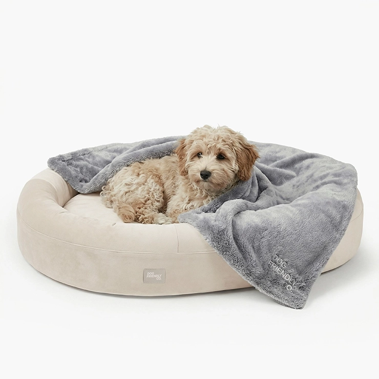Chill Pill Memory Foam Dog Bed - Beige (Small)