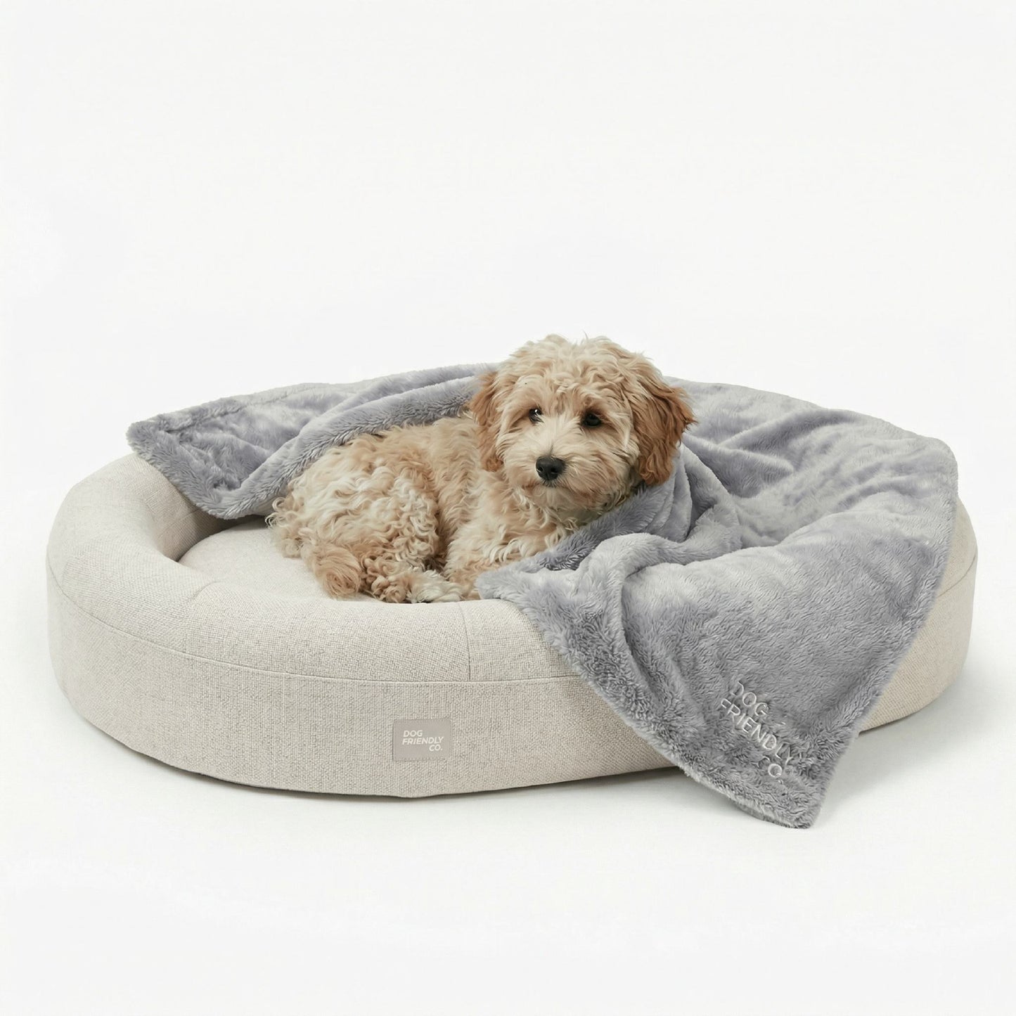 Chill Pill Memory Foam Dog Bed - Beige (Medium)