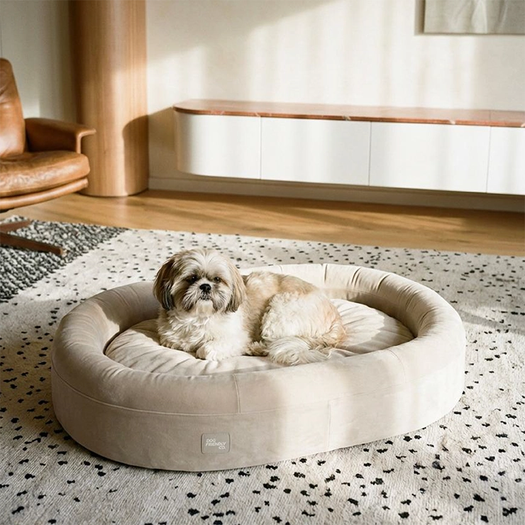 Chill Pill Memory Foam Dog Bed - Beige (Small)