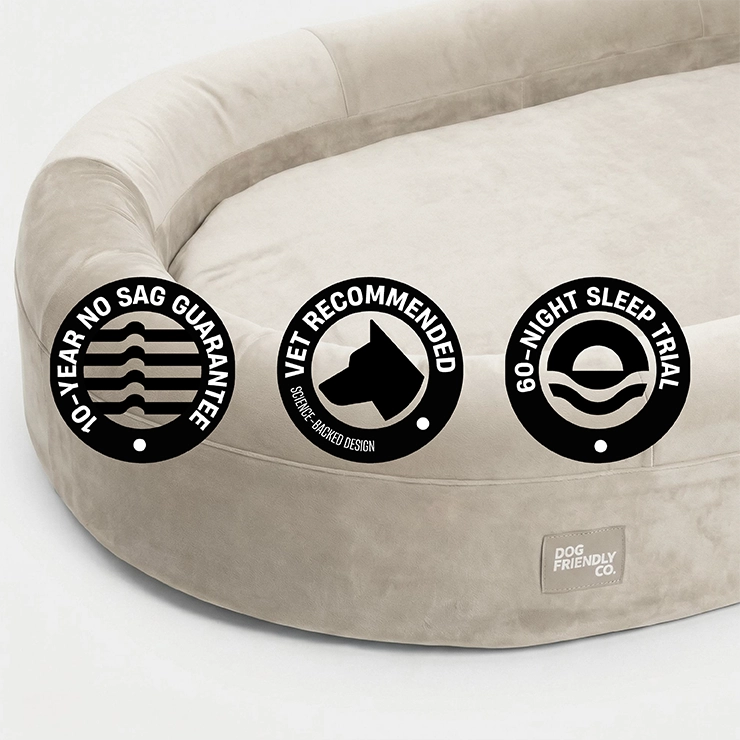 Chill Pill Memory Foam Dog Bed - Beige (Medium)