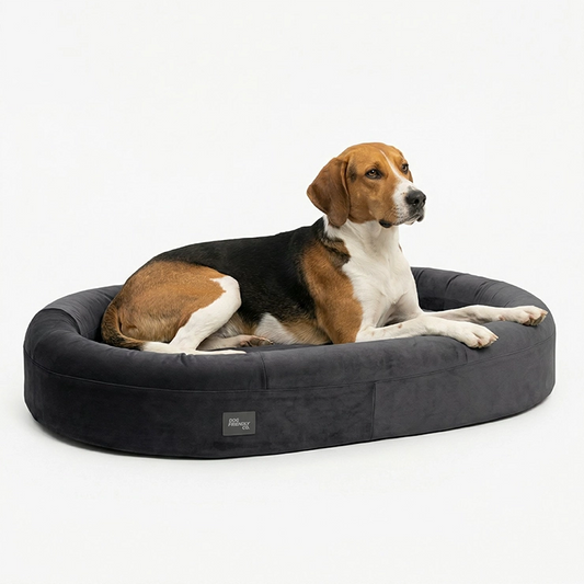 Chill Pill Memory Foam Dog Bed - Charcoal (Large)