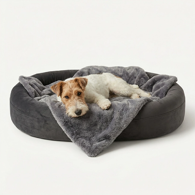 Chill Pill Memory Foam Dog Bed - Charcoal (Small)