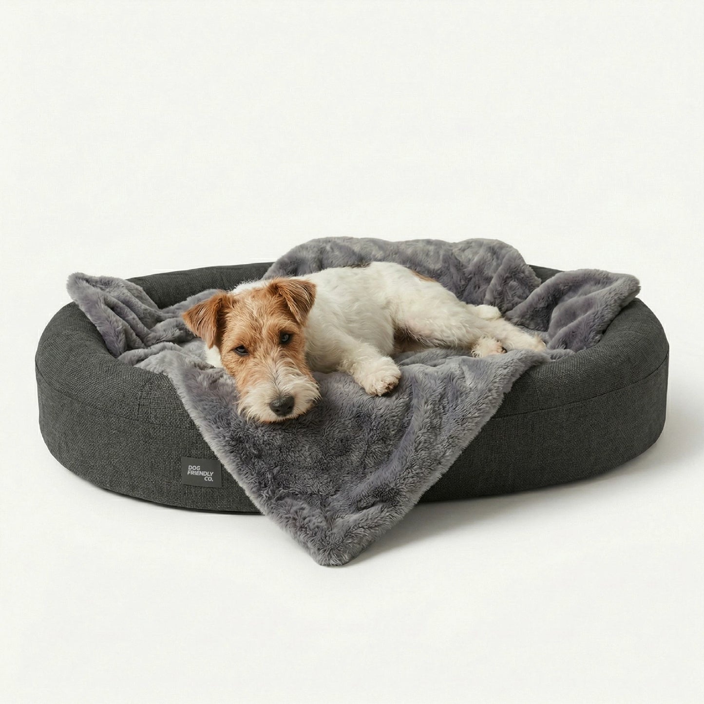 Chill Pill Memory Foam Dog Bed - Charcoal (Small)