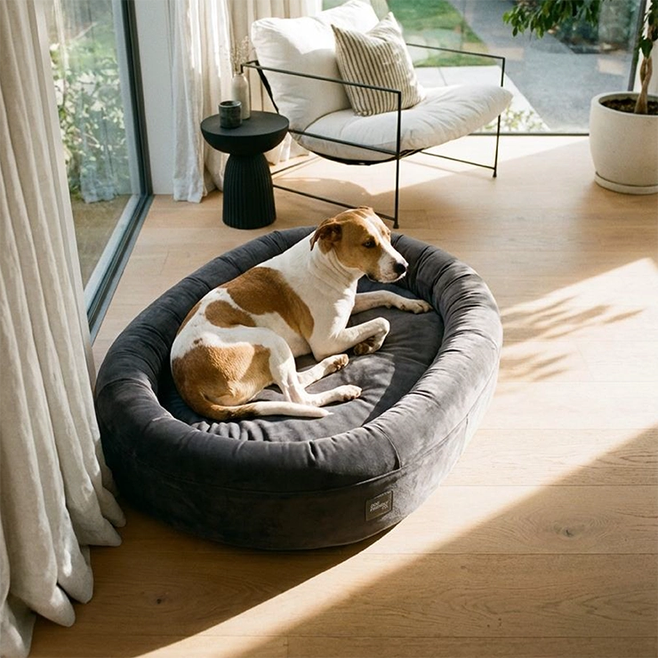 Chill Pill Memory Foam Dog Bed - Charcoal (Small)