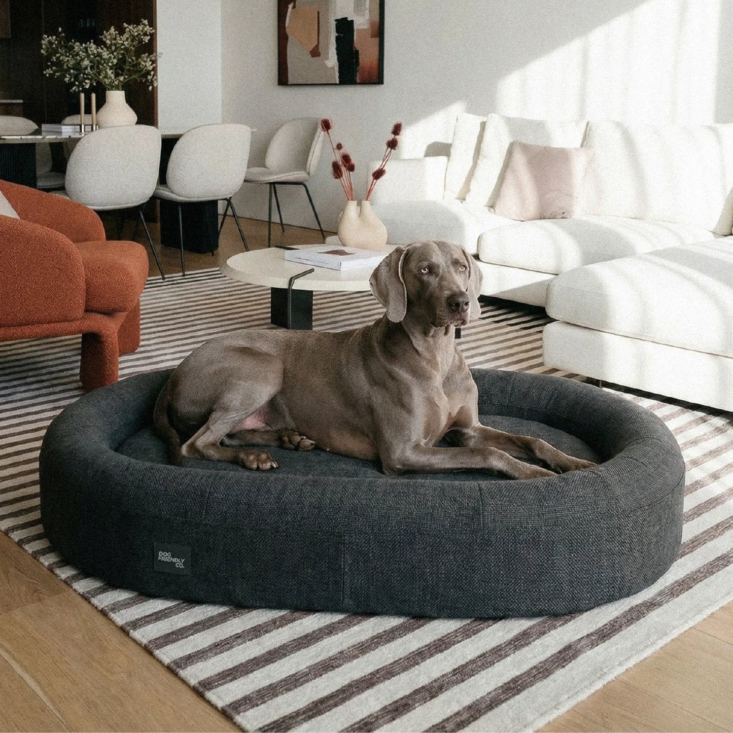 Chill Pill Memory Foam Dog Bed - Charcoal (Medium)