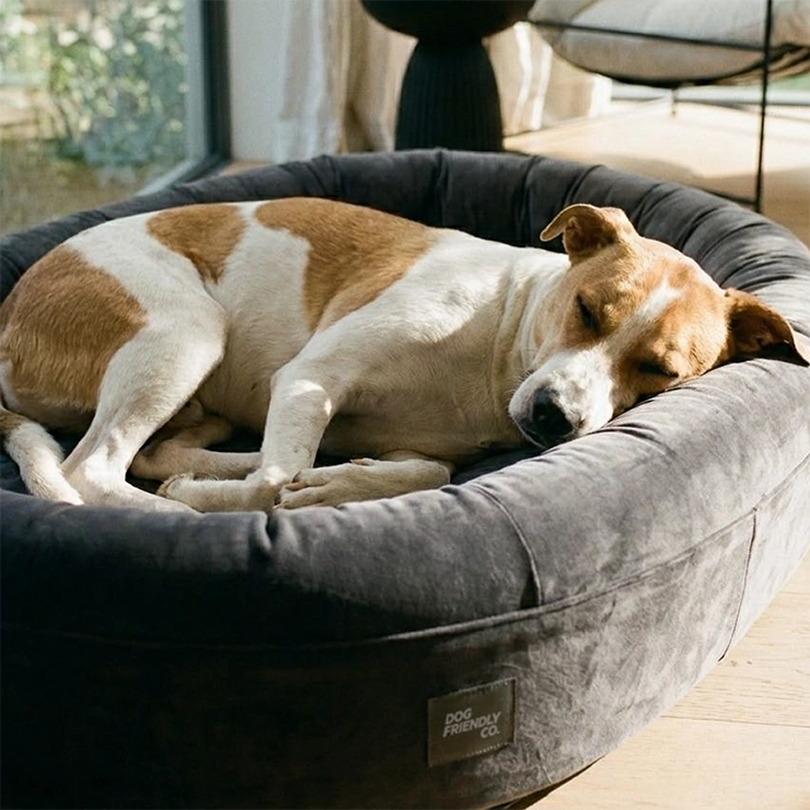 Chill Pill Memory Foam Dog Bed - Charcoal (Small)