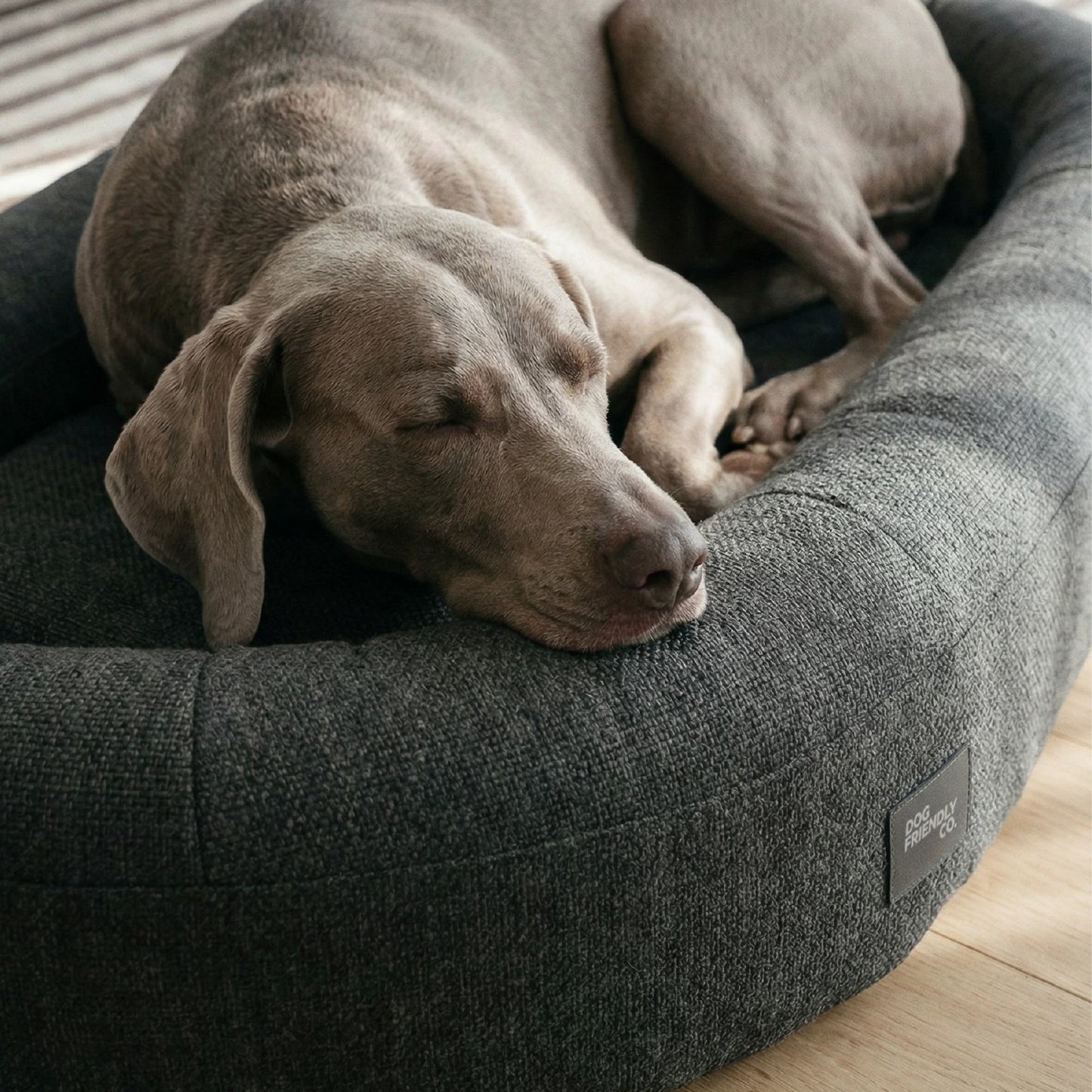 Chill Pill Memory Foam Dog Bed - Charcoal (Medium)