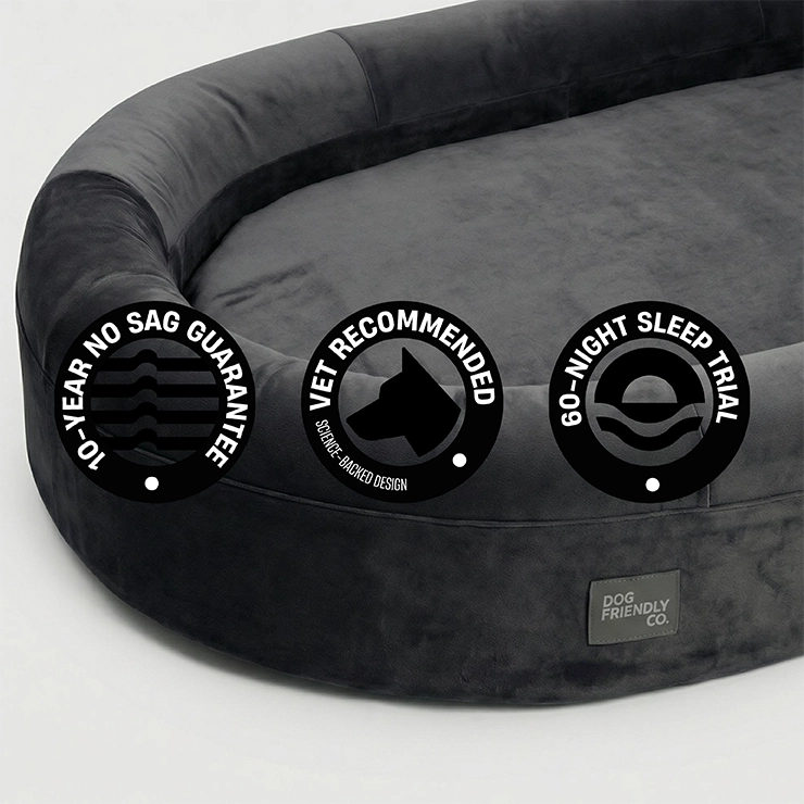 Chill Pill Memory Foam Dog Bed - Charcoal (Small)