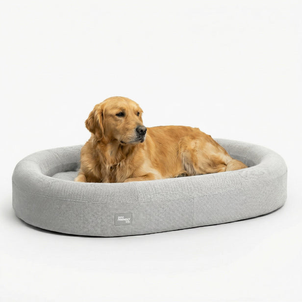 Chill Pill Memory Foam Dog Bed - Grey (Large)