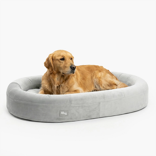 Chill Pill Memory Foam Dog Bed - Grey (Small)