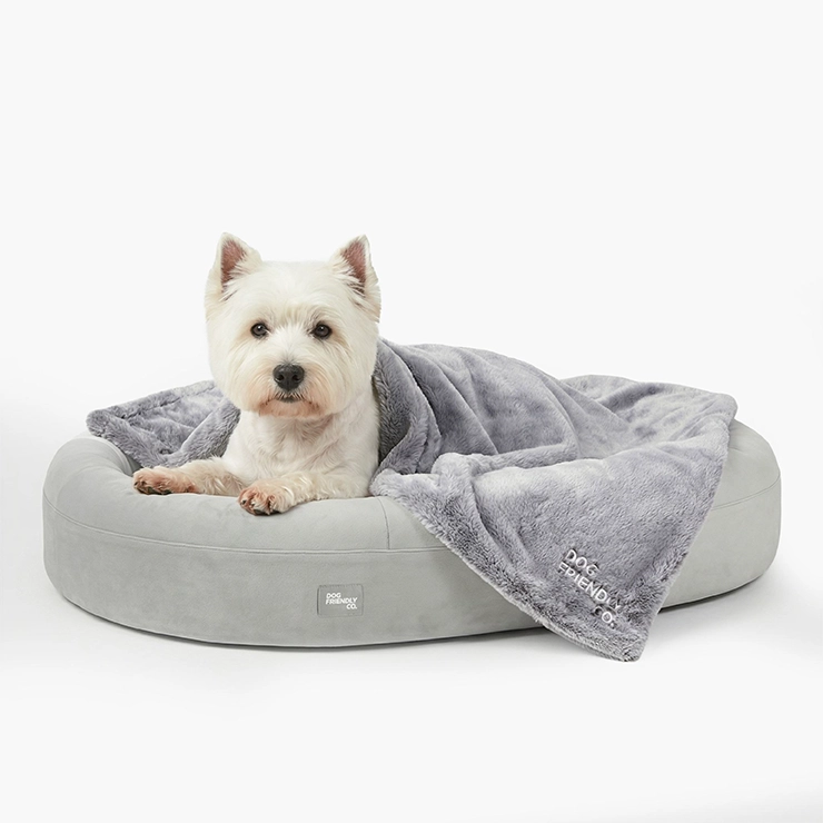 Chill Pill Memory Foam Dog Bed - Grey (Large)