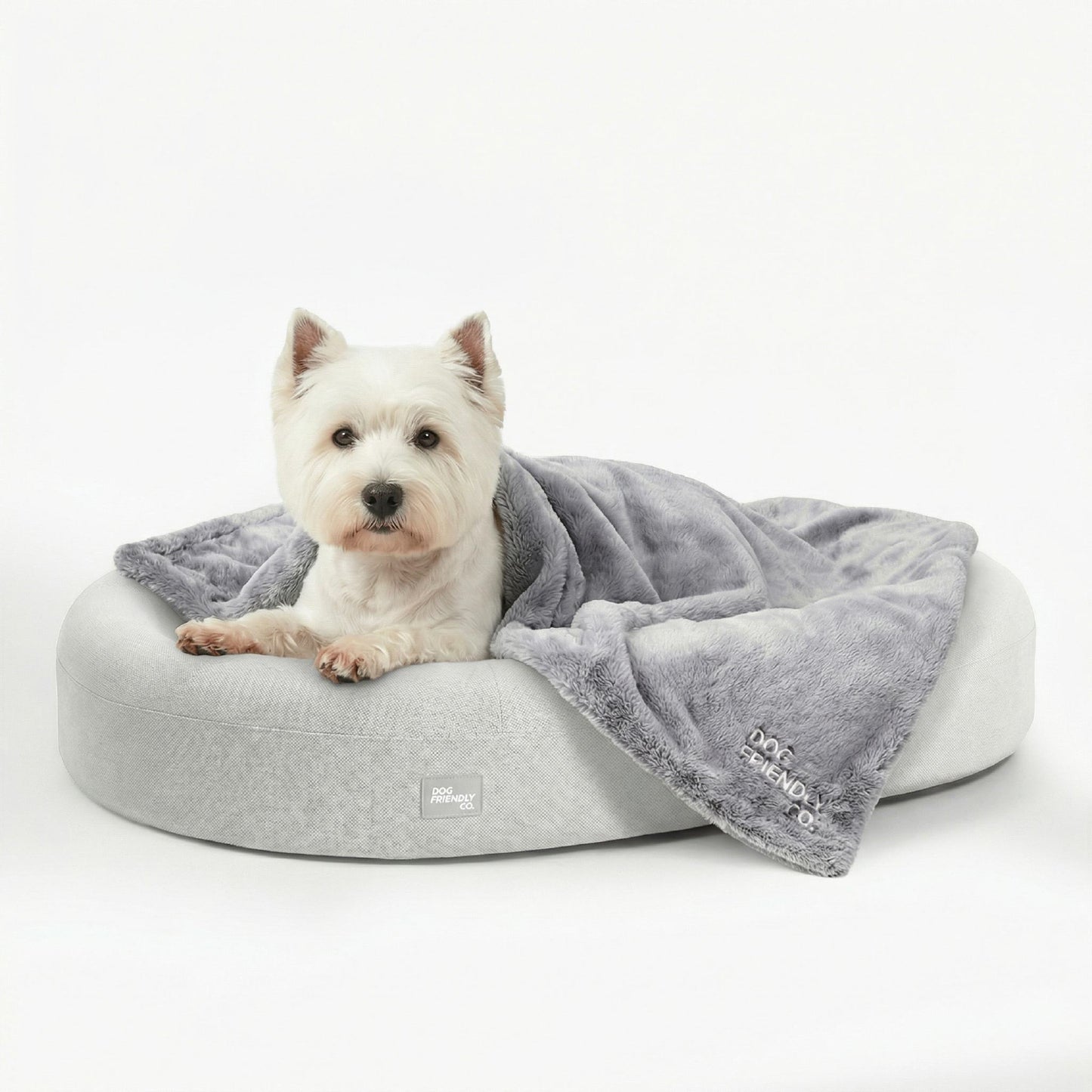 Chill Pill Memory Foam Dog Bed - Grey (Large)